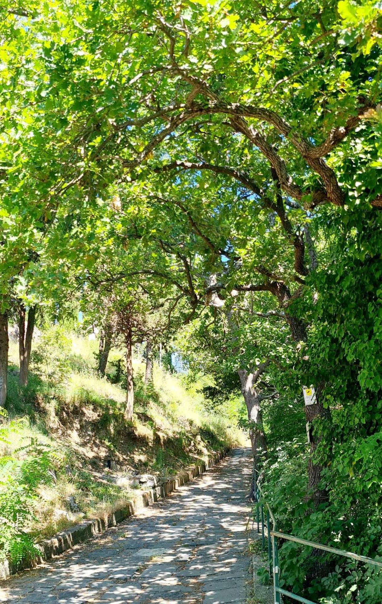 Villa Blu Costiera 아말피 외부 사진